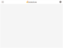 Tablet Screenshot of energium.kier.re.kr